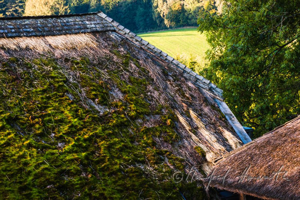 farmhouse with thached roof