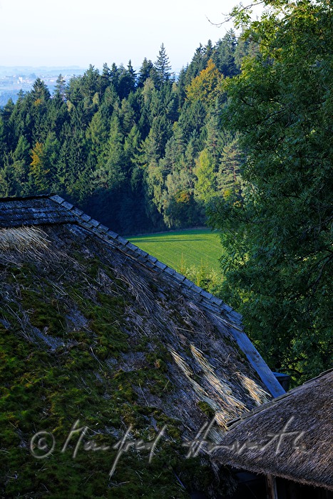 farmhouse with thached roof