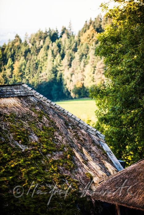 farmhouse with thached roof
