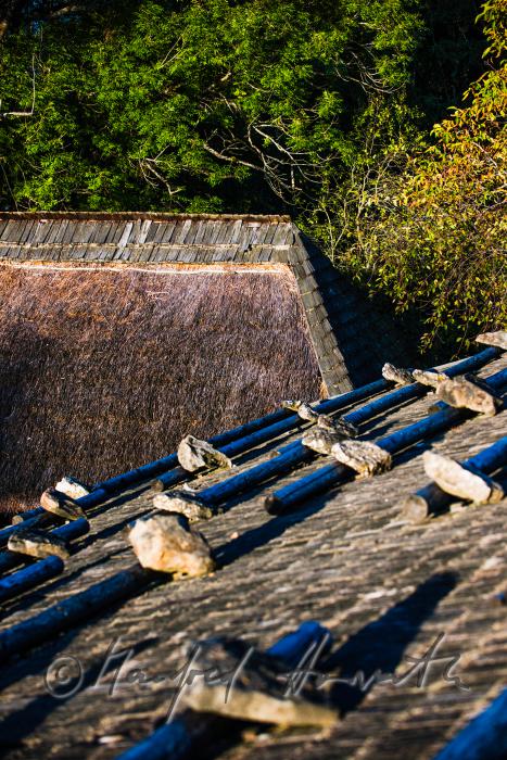 farmhouse with thached roof and stones on the shingle roof