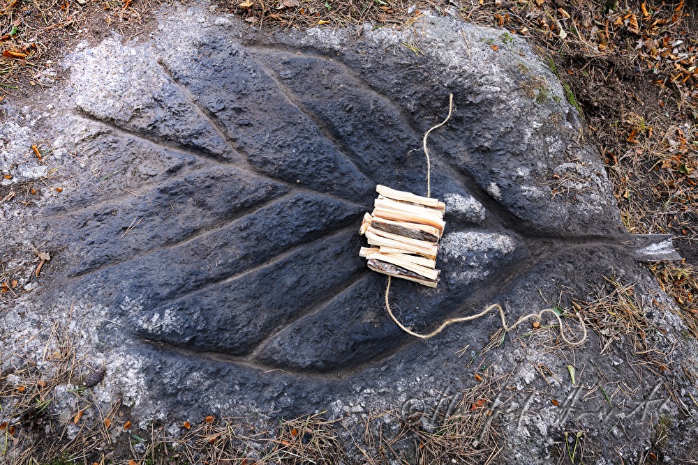 stone for making bitumen oil out of candlewood pine