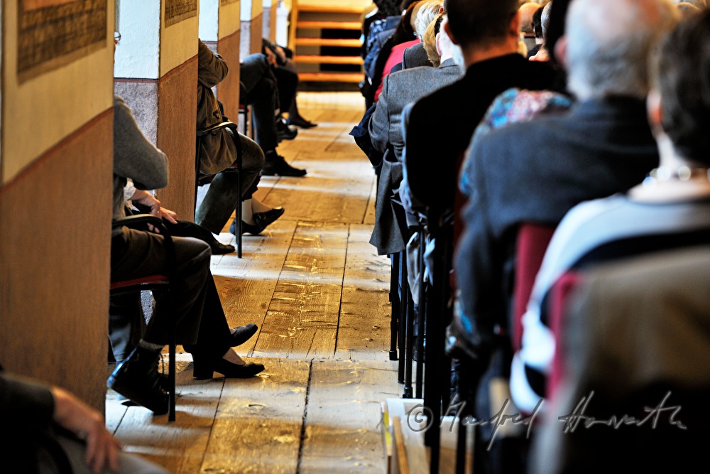 the audience during a performance