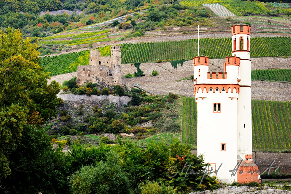 Mouse Tower on the Mouse Island in the Rhine
