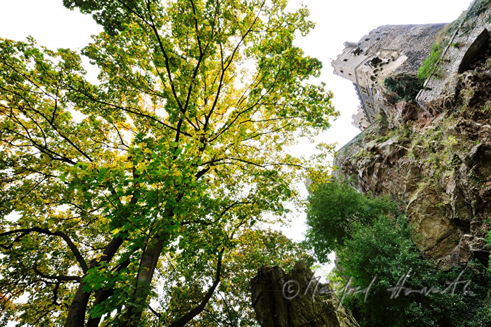 rock and dungeon of Castle Rheinstein