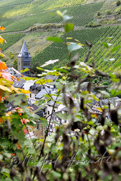 old tpwn and vineyards