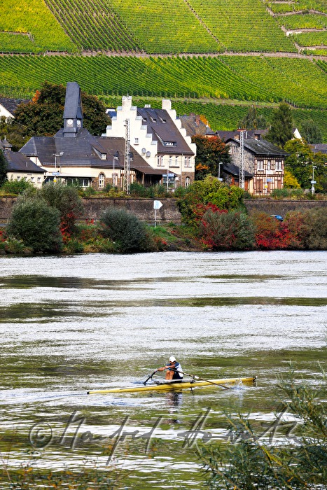 sculler in a boat near the railway station