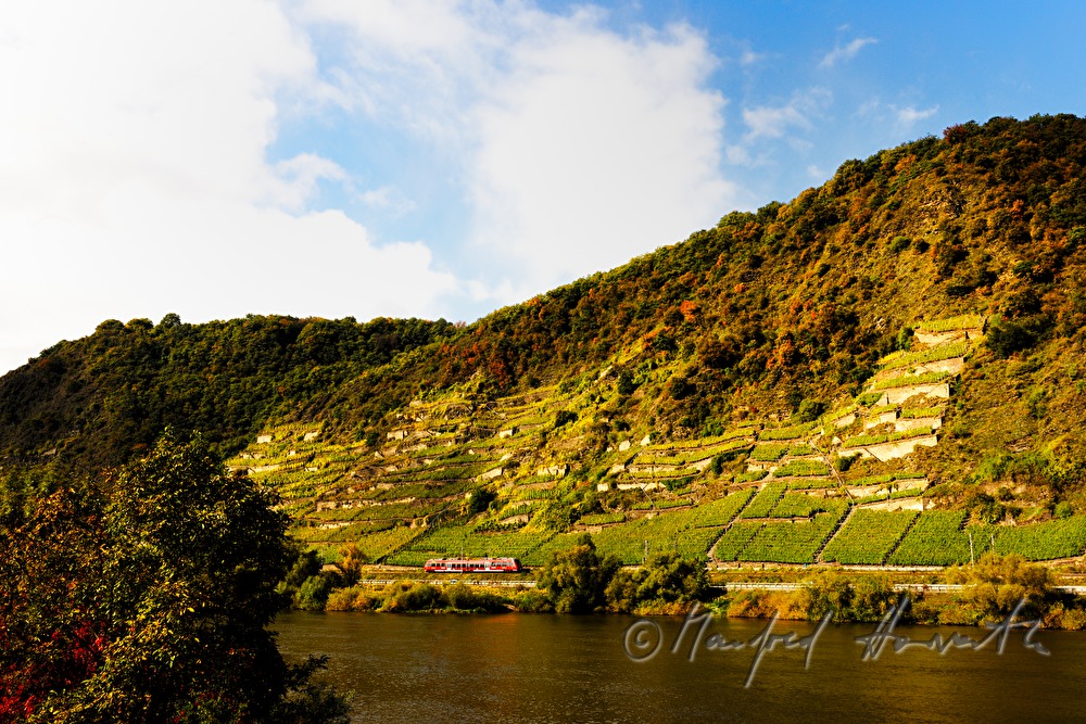a red train passes the vineyards