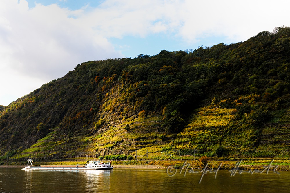 a cargo ship passes a steep vineyard with terraces