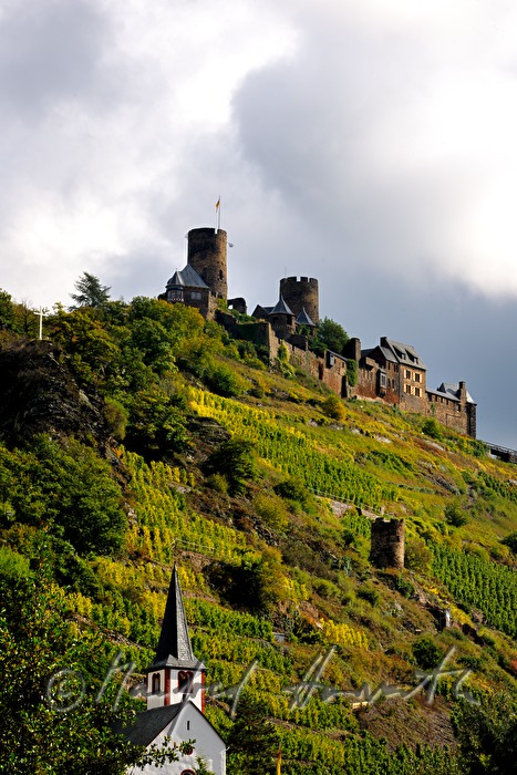 Castle Thurant on top of a hill with vineyards