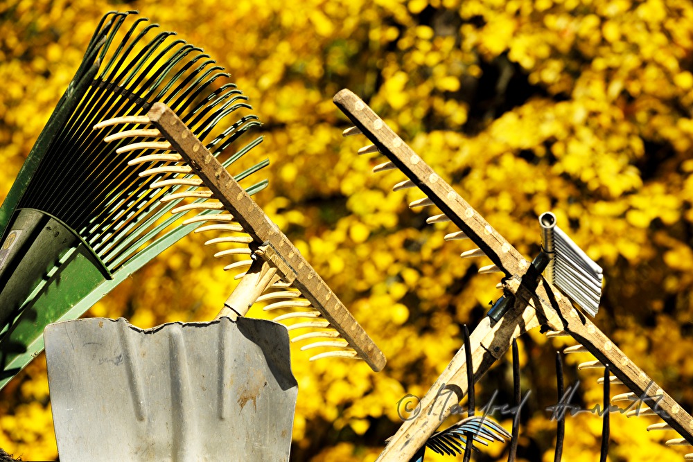 different leaf rakes on the trailer of an arborist