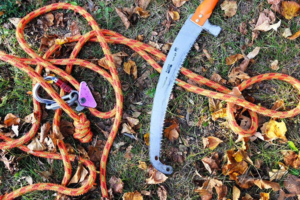 saw and climbing rope of an arborist