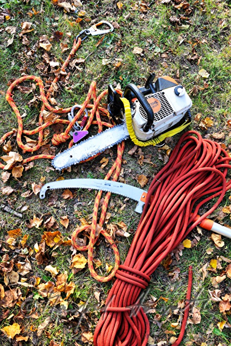 saw and climbing rope of an arborist