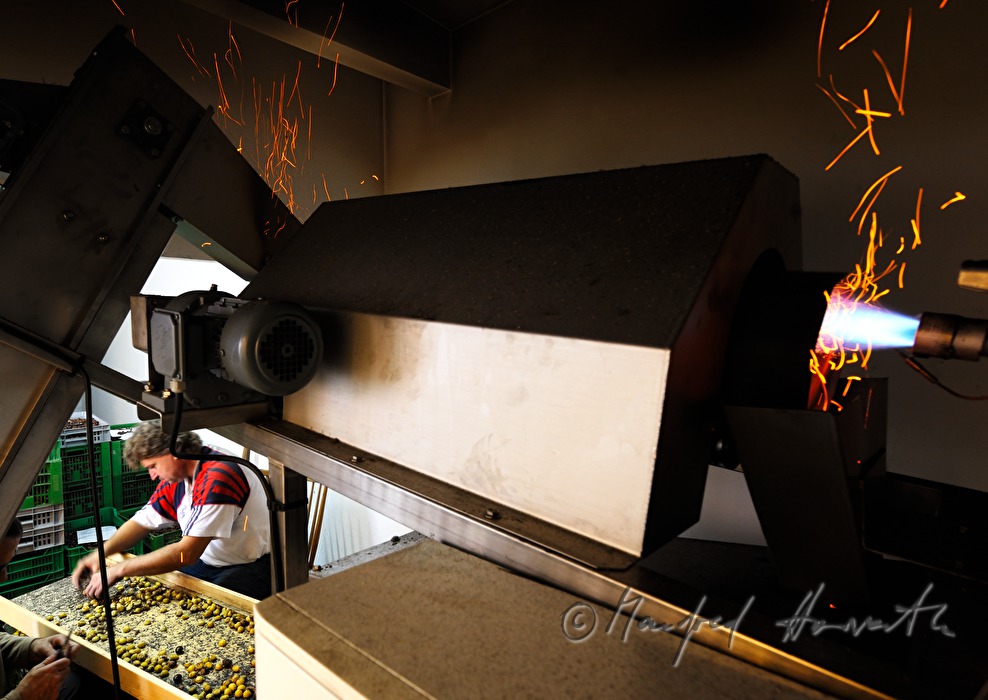 peeling of sweet chestnuts with a machine