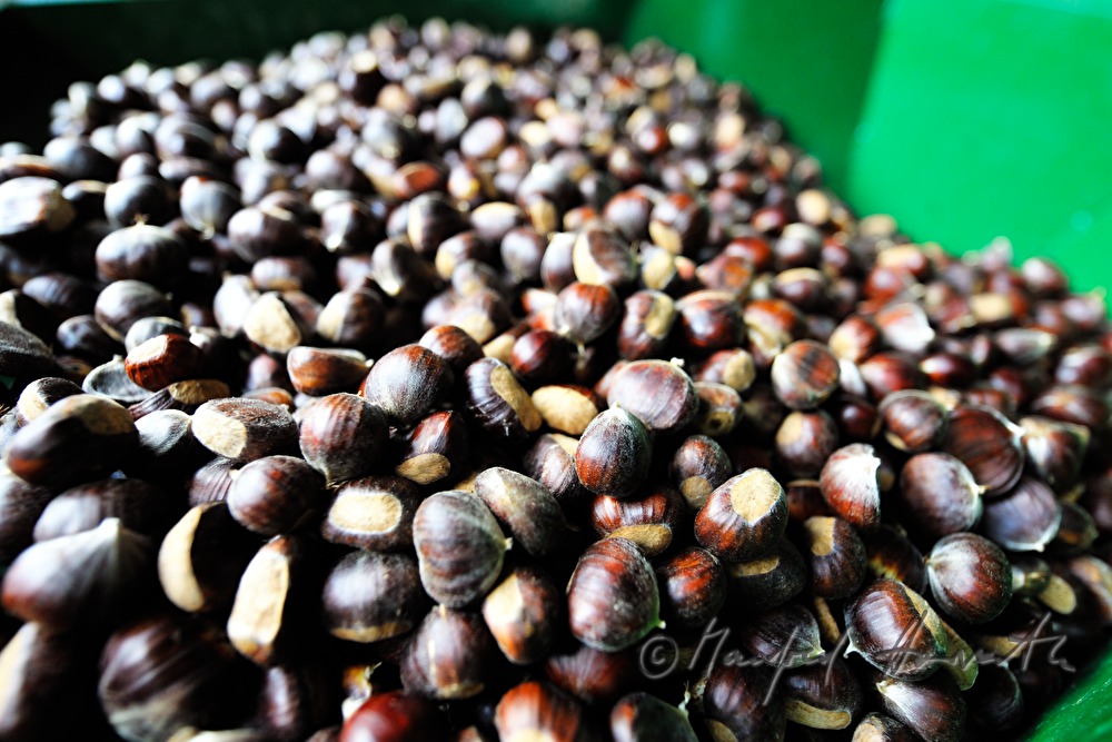 peeling of sweet chestnuts with a machine