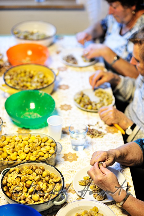 making of puree of sweet chestnuts