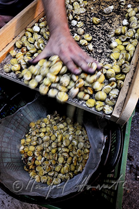 peeling of sweet chestnuts with a machine