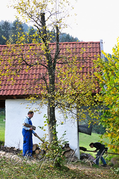 torrefaction of pears in the hut