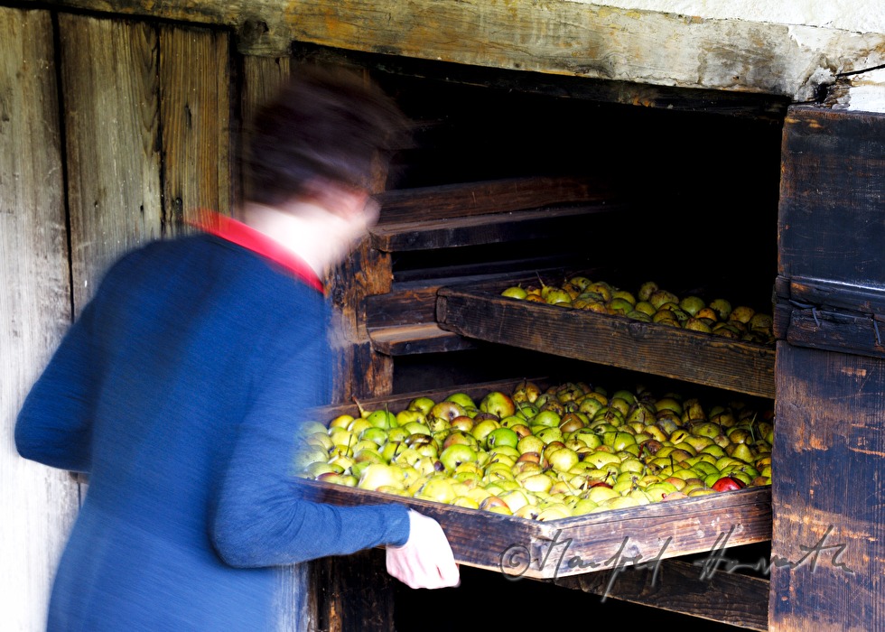 torrefaction of pears in the hut