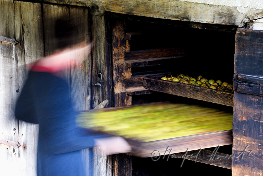 torrefaction of pears in the hut