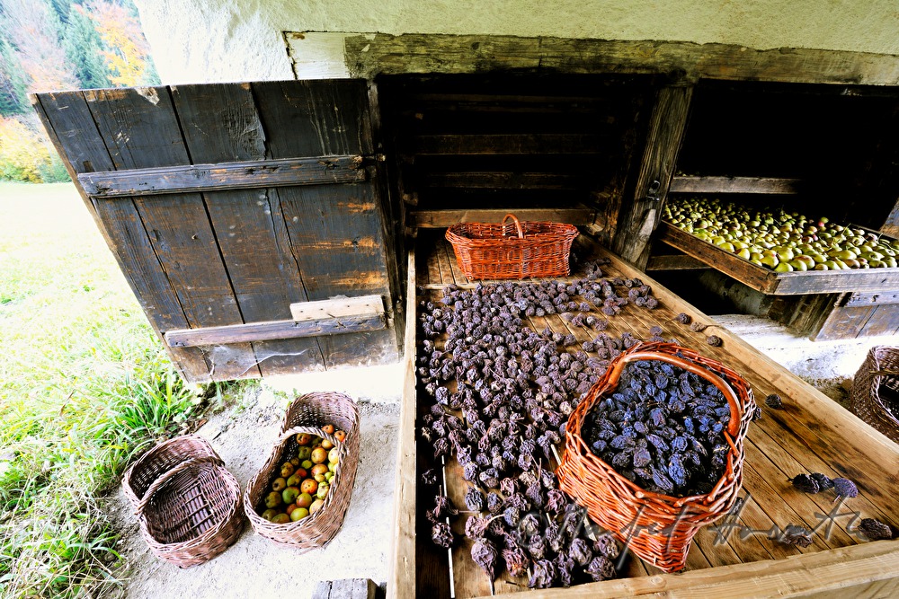 fresh dried pears (Kletzen) in the torrefication hut