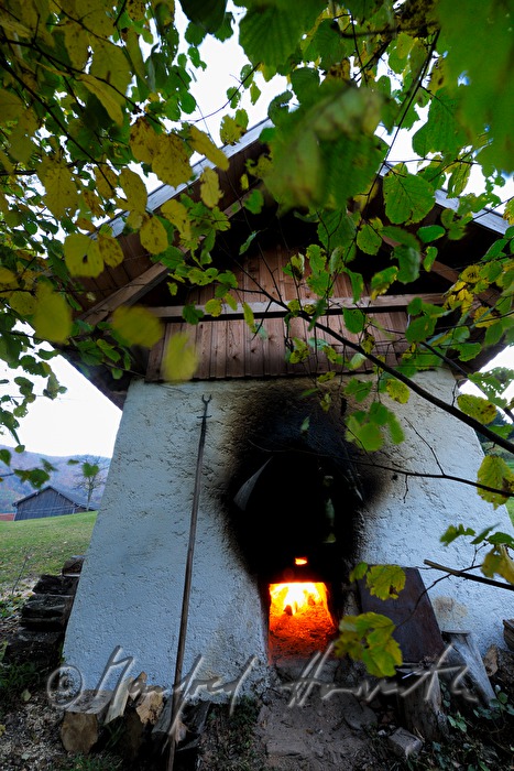 torrefaction of pears in the hut