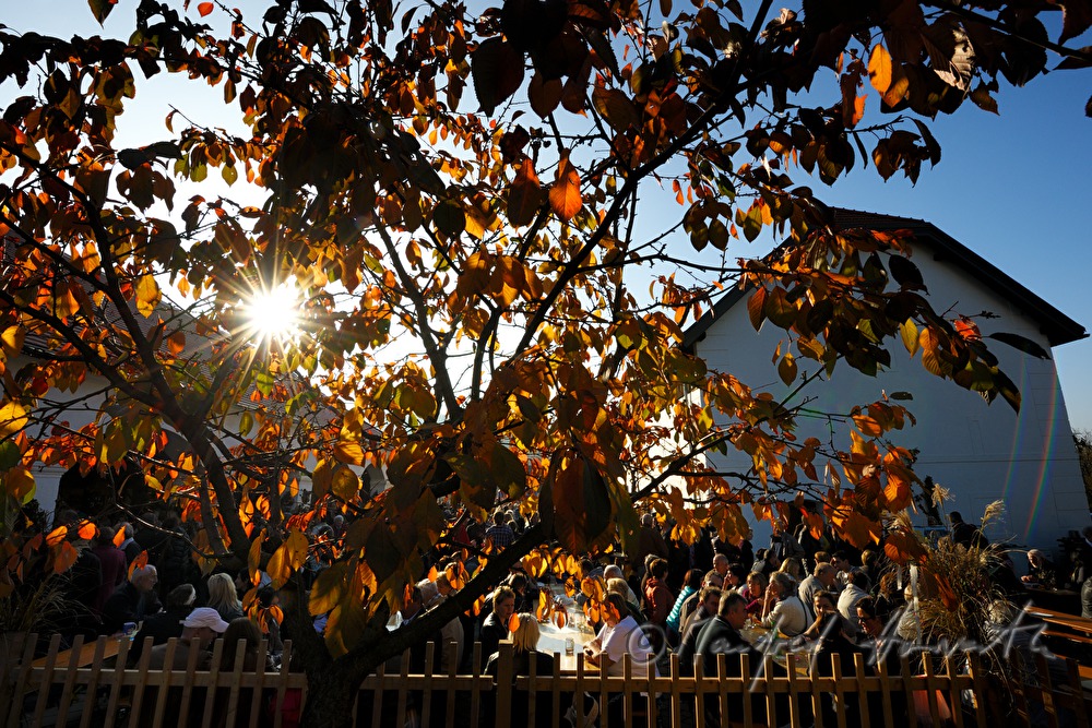 crowd of people sitting at the chestnut festival