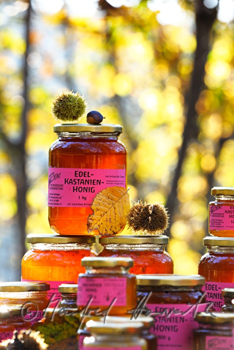 sale of sweet chestnut honey at the chestnut festival