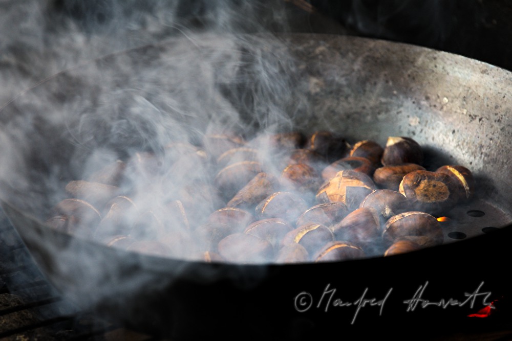 making of baked chestnuts at the chestnut festival