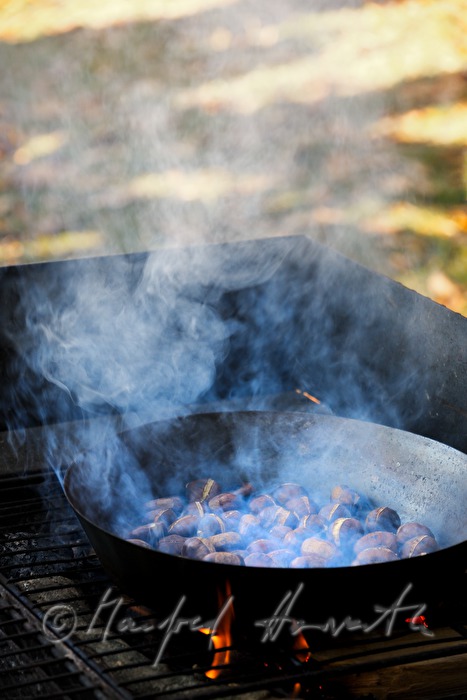 making of baked chestnuts at the chestnut festival