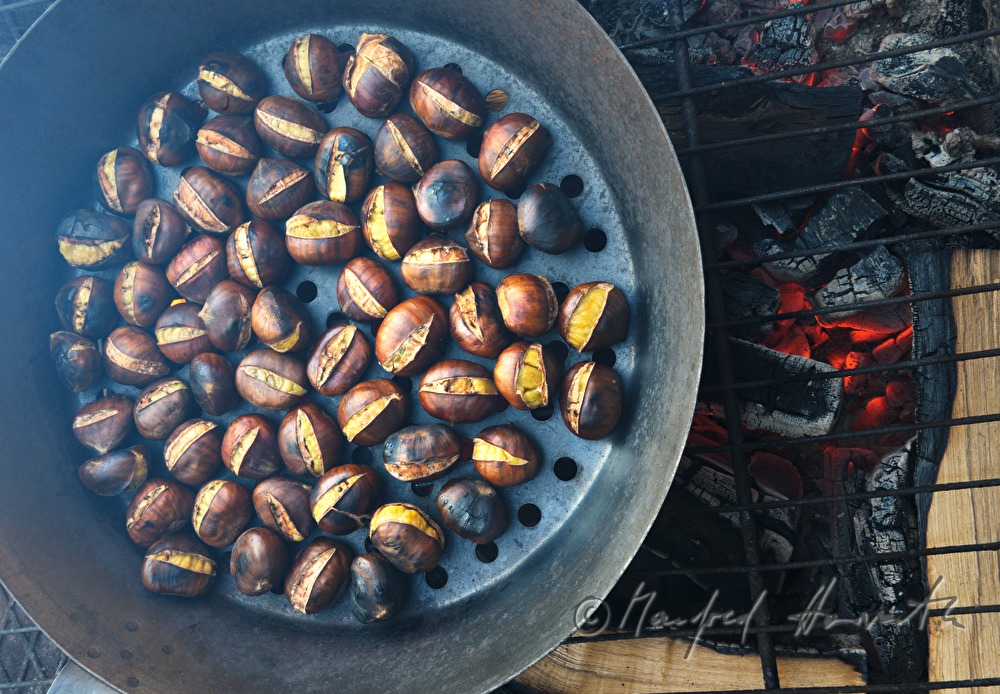making of baked chestnuts at the chestnut festival
