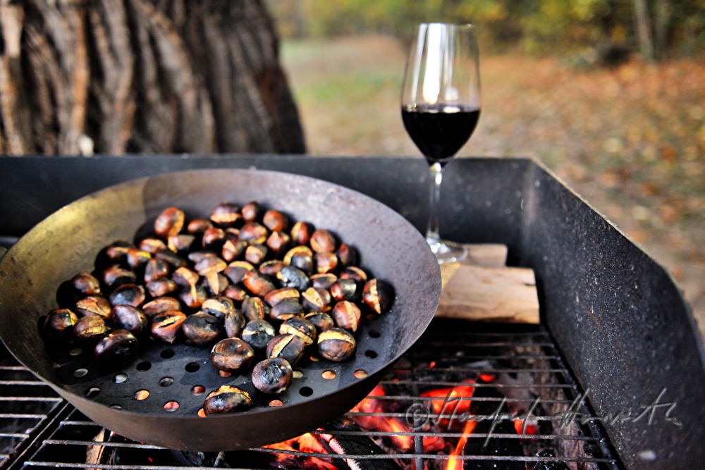making of baked chestnuts at the chestnut festival