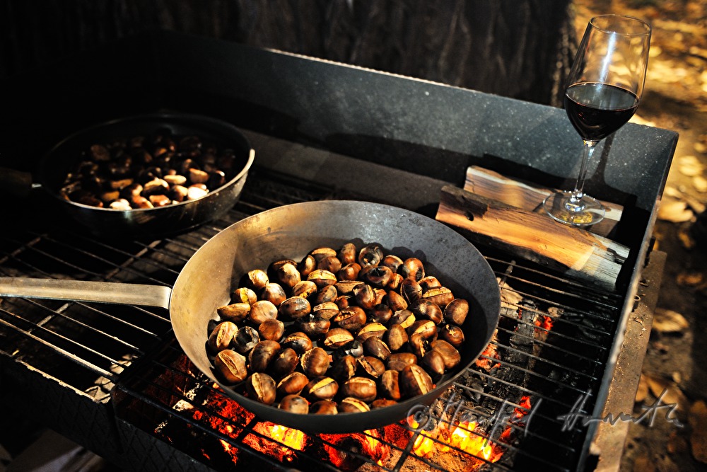 making of baked chestnuts at the chestnut festival