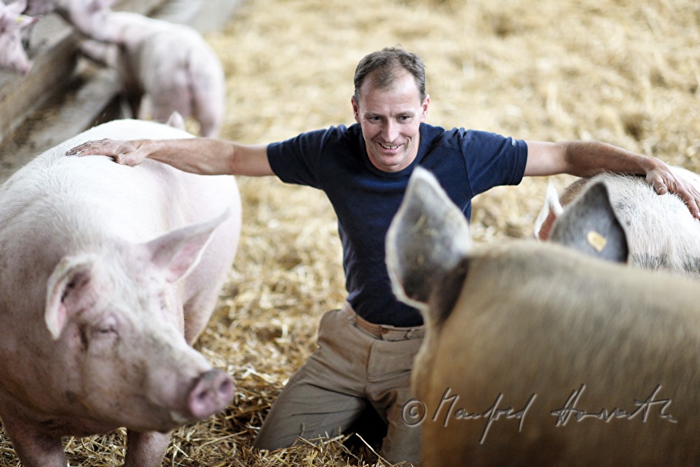 the farmer Franz Habel in his pigsty