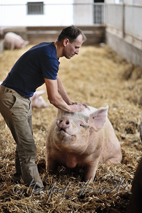 the farmer Franz Habel in his pigsty