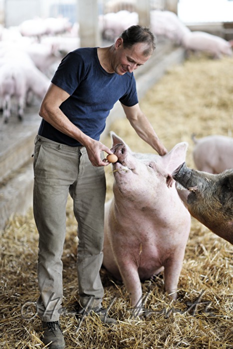 the farmer Franz Habel in his pigsty