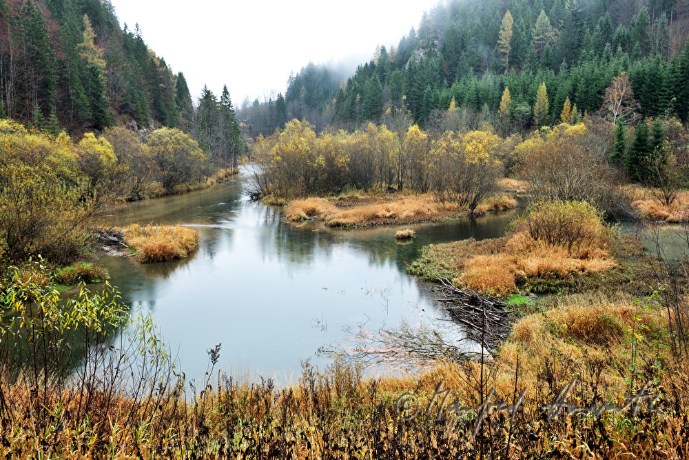 River Salza and Salza Valley near Mariazell