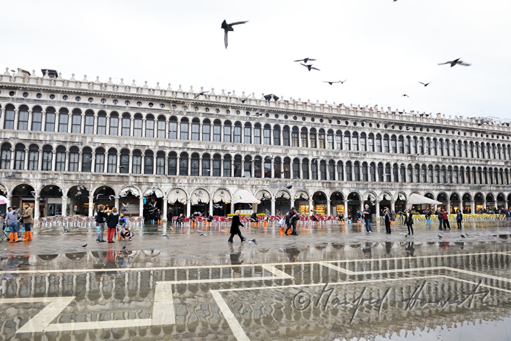 family crossing Piazza San Marco during Acqua alta