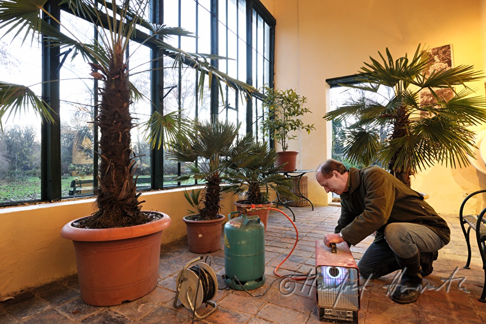 heating the orangery of Schloss Mühlbach