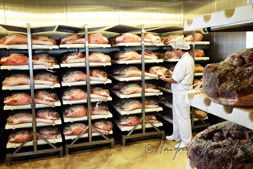 butcher checks corned legs of pork in the cooling chamber