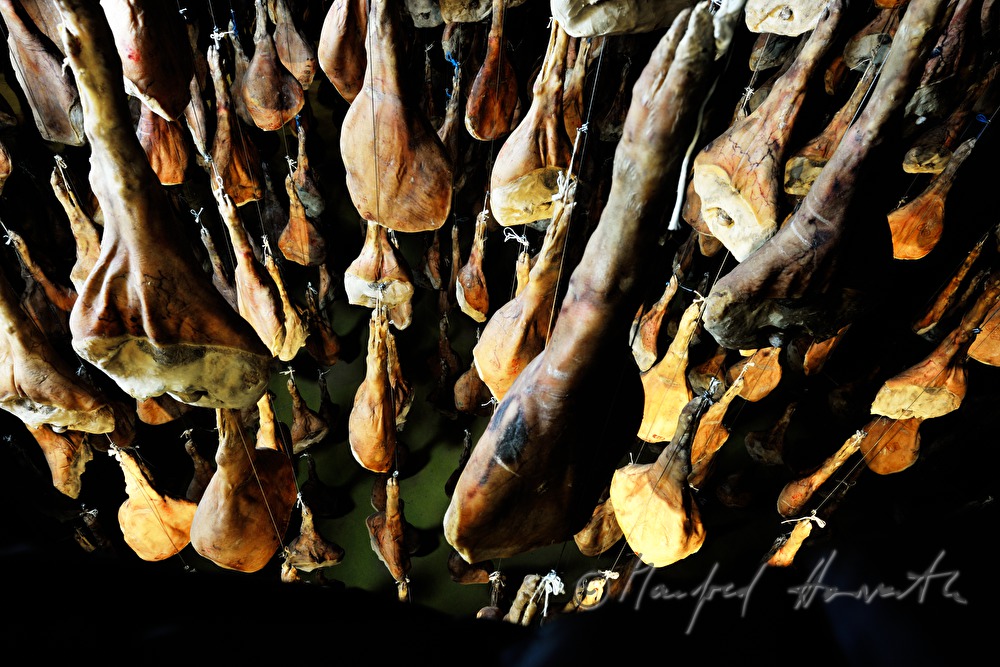 ripening room with Vulcano ham (air dried cured ham)