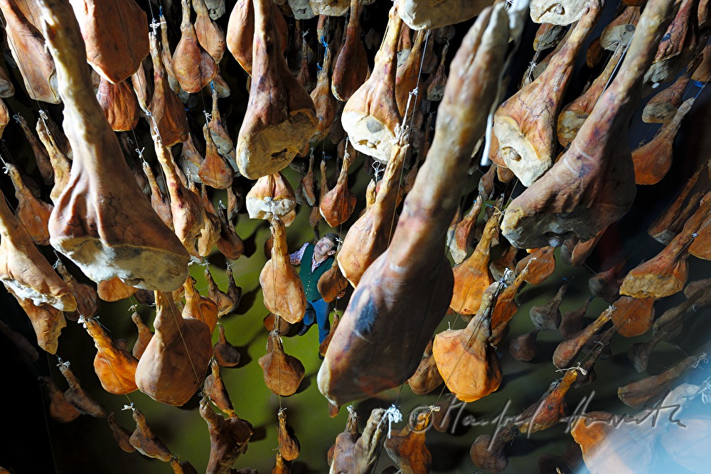 ripening room with Vulcano ham (air dried cured ham)