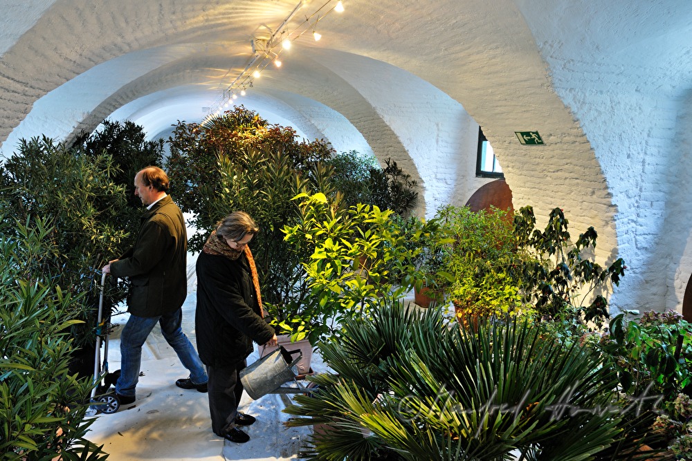 watering the plants in the orangery of Schloss Mühlbach