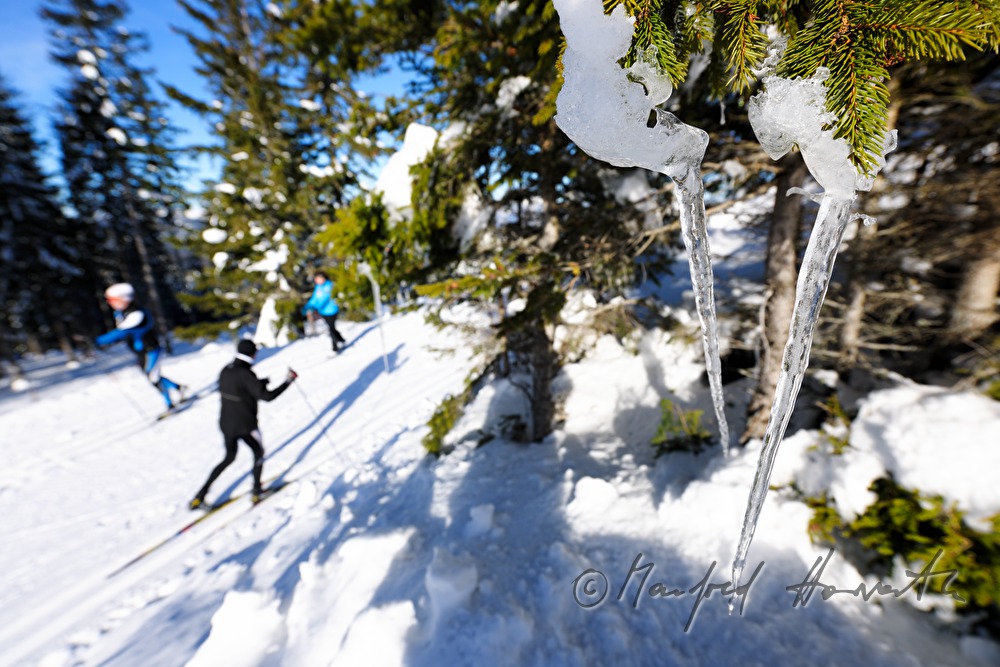 cross-country ski trail Wechsel-Semmering