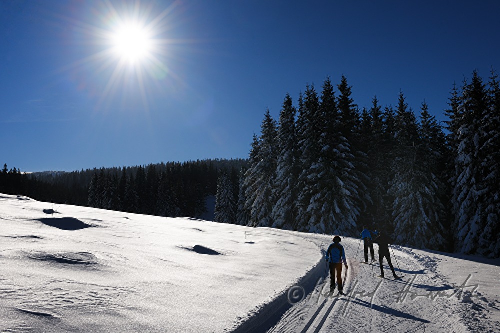 cross-country ski trail Wechsel-Semmering