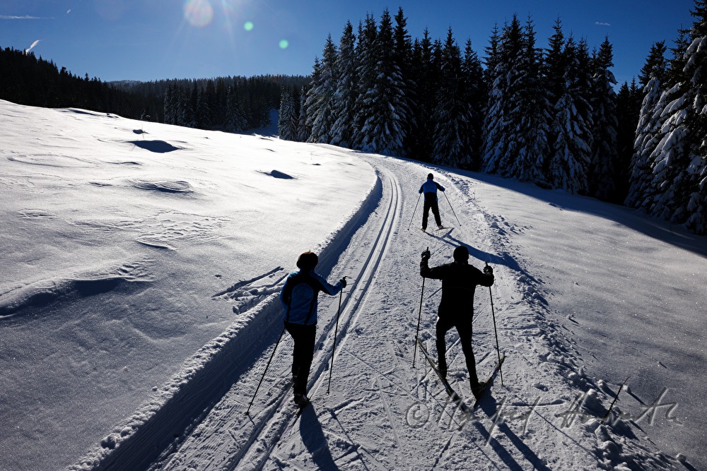 cross-country ski trail Wechsel-Semmering