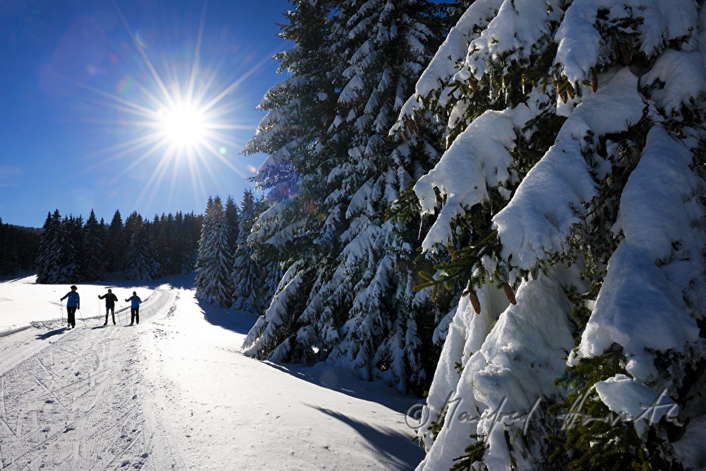 cross-country ski trail Wechsel-Semmering
