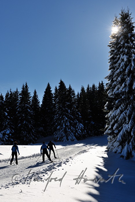 cross-country ski trail Wechsel-Semmering