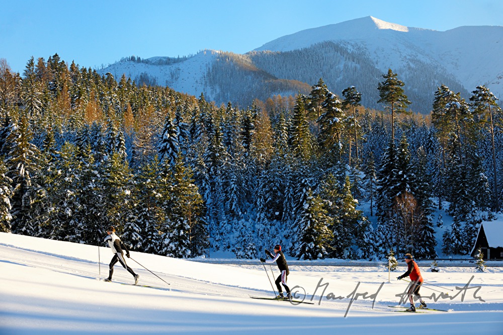 cross-country skiers