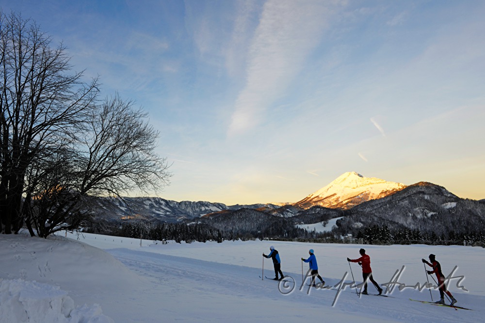 cross-country ski trail with view to the Oetscher