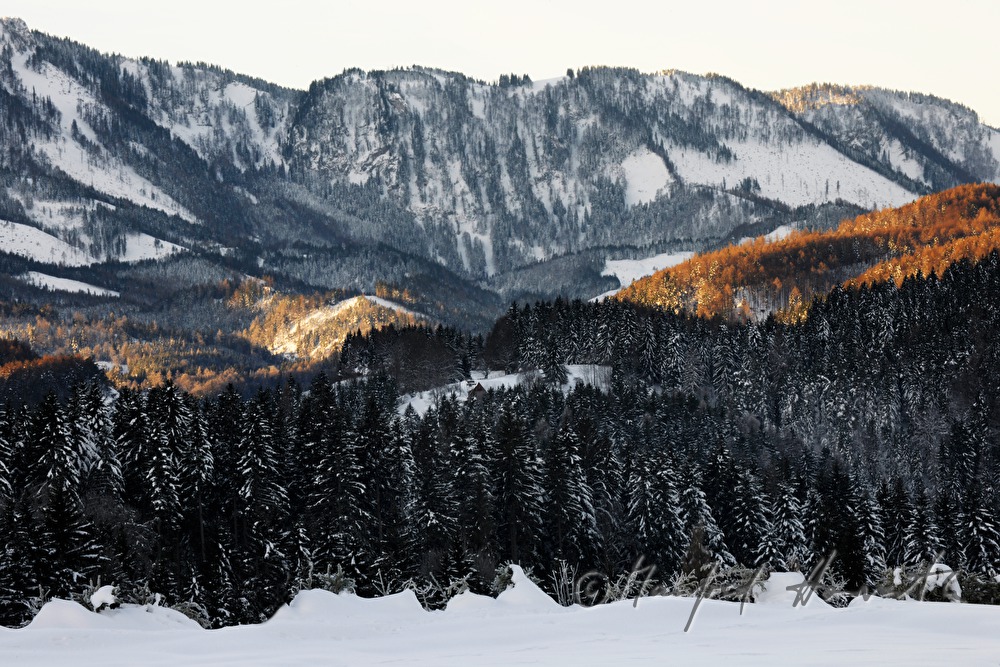 view from Annaberg to the Ötschergräben